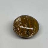 139.3g, 2.1"x2.1"x1.3" Natural Ocean Jasper Palm-Stone Orbicular Jasper, B30749