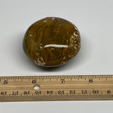 139.3g, 2.1"x2.1"x1.3" Natural Ocean Jasper Palm-Stone Orbicular Jasper, B30749