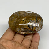 131.1g, 2.7"x2"x1.1" Natural Ocean Jasper Palm-Stone Orbicular Jasper, B30750