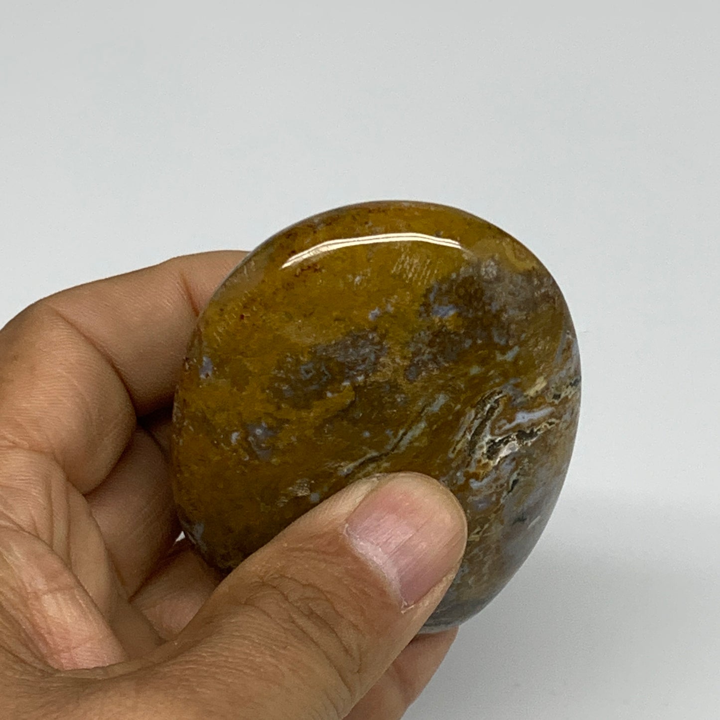 131.1g, 2.7"x2"x1.1" Natural Ocean Jasper Palm-Stone Orbicular Jasper, B30750