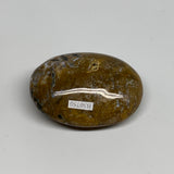 131.1g, 2.7"x2"x1.1" Natural Ocean Jasper Palm-Stone Orbicular Jasper, B30750