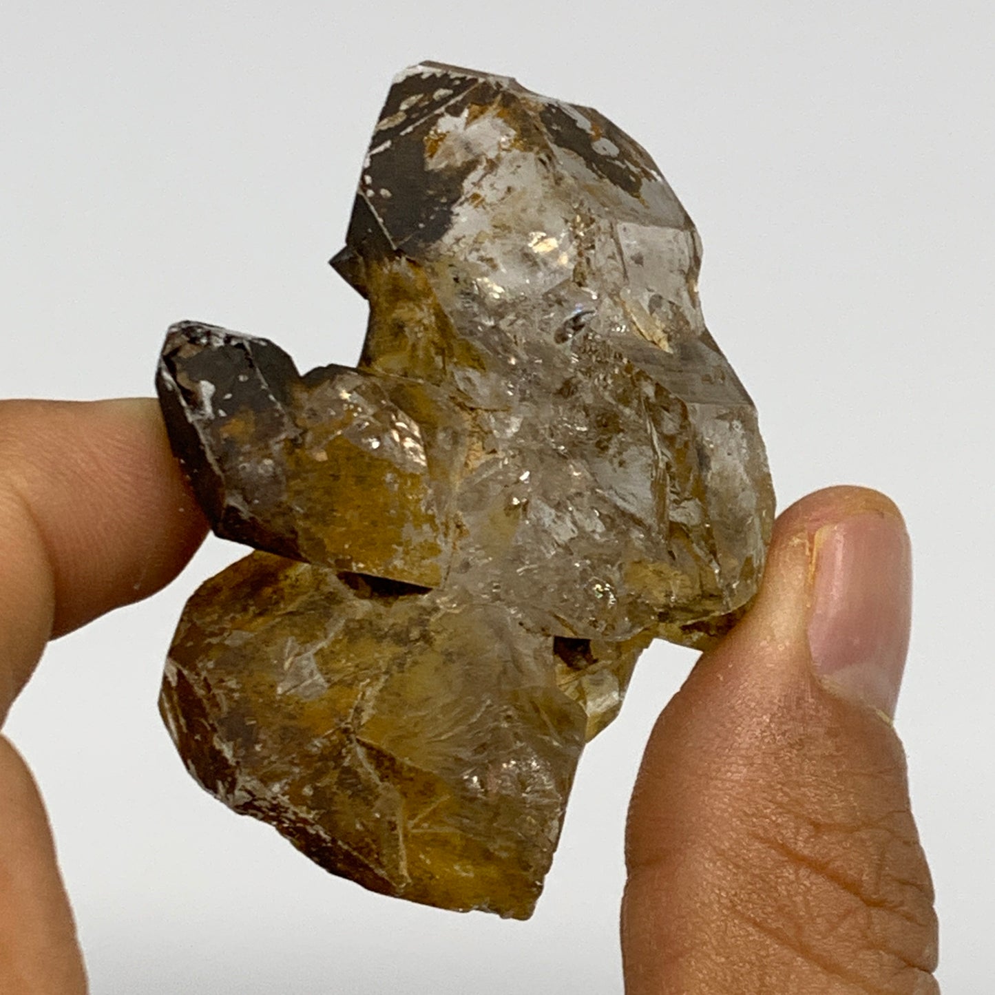 48.2g,  2"x1.5"x0.7", Natural Window Quartz Crystal Terminated @Pakistan,B27759