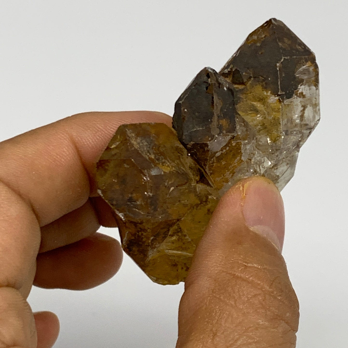 48.2g,  2"x1.5"x0.7", Natural Window Quartz Crystal Terminated @Pakistan,B27759