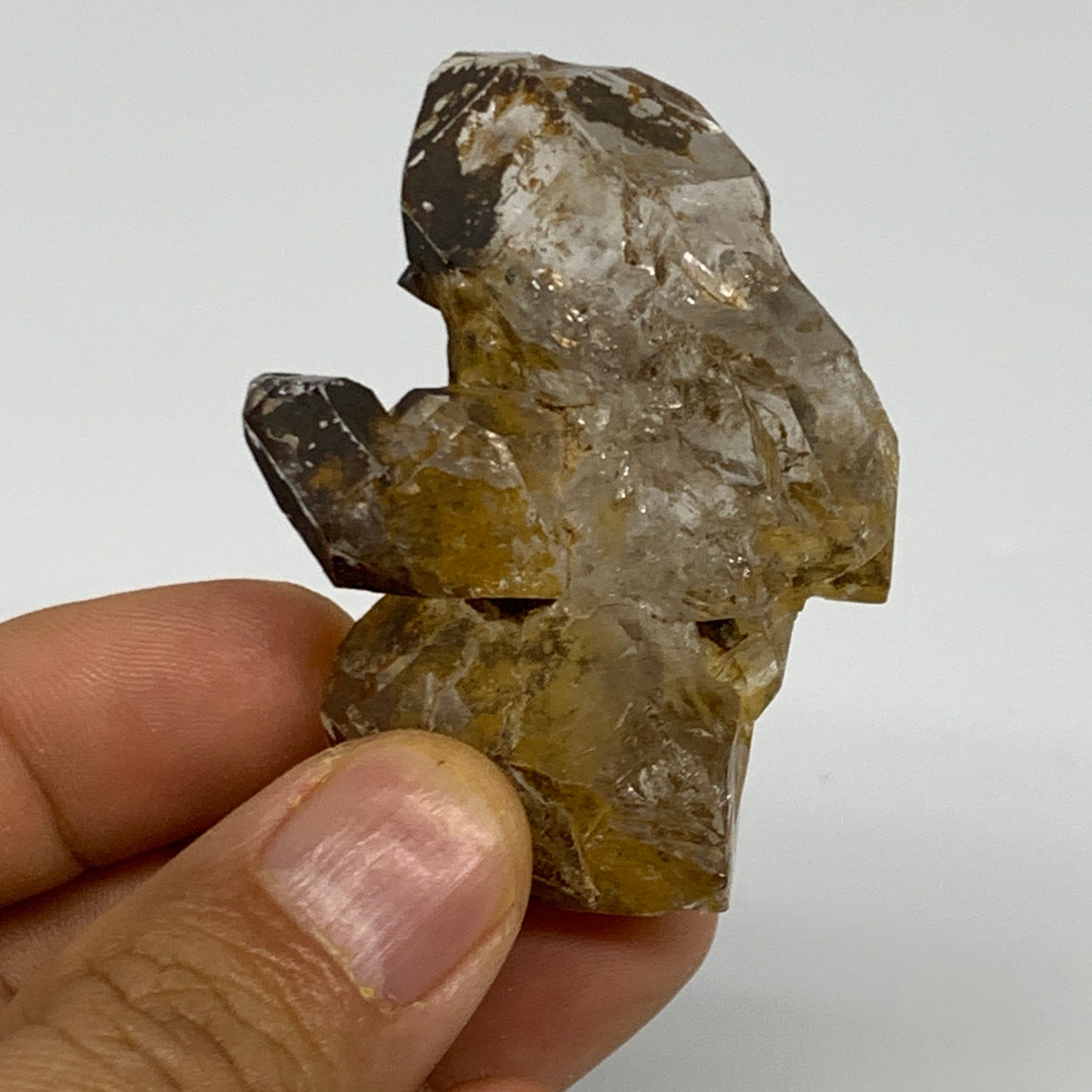 48.2g,  2"x1.5"x0.7", Natural Window Quartz Crystal Terminated @Pakistan,B27759