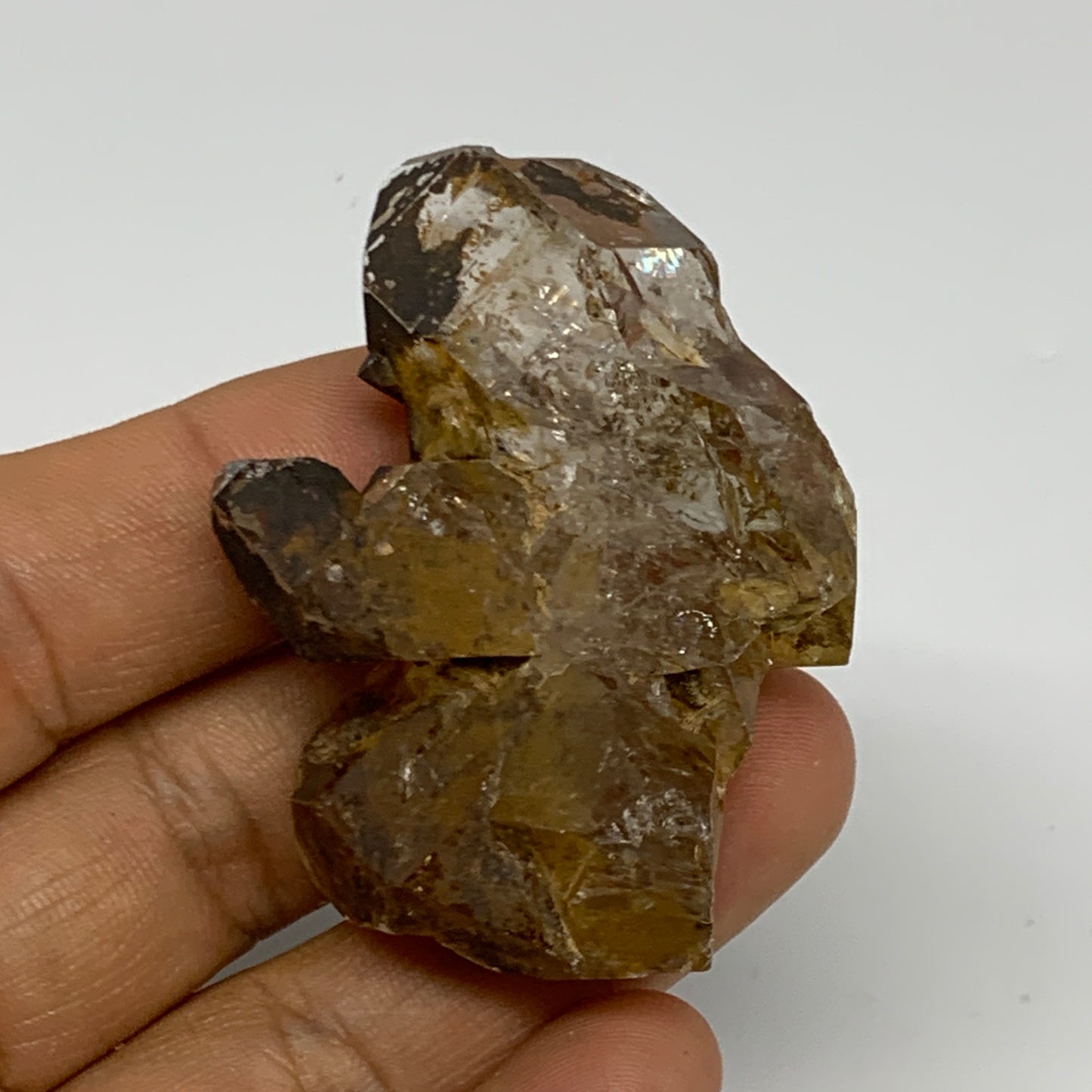 48.2g,  2"x1.5"x0.7", Natural Window Quartz Crystal Terminated @Pakistan,B27759