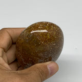 197.7g, 2.9"x2.2"x1.2" Natural Ocean Jasper Palm-Stone Orbicular Jasper, B30760
