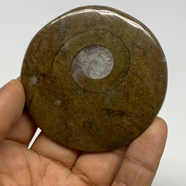 57.1g, 2.4"x2.4"x0.4", Goniatite (Button) Ammonite Polished Fossils, B30062