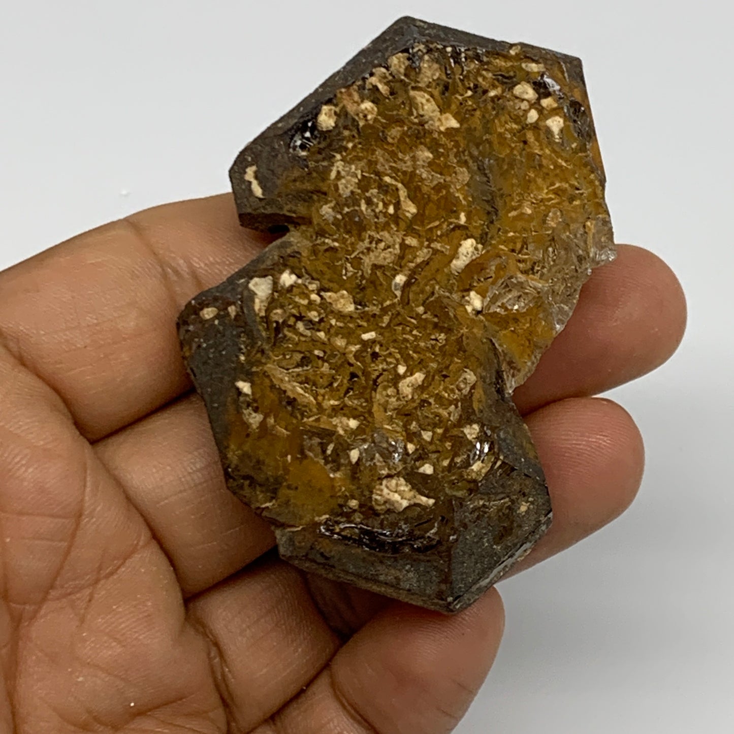 52.8g,  2.3"x1.7"x0.8", Natural Window Quartz Crystal Terminated @Pakistan,B2776