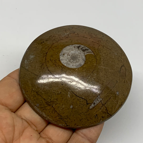 98.4g, 2.8"x2.8"x0.6", Goniatite (Button) Ammonite Polished Fossils, B30064