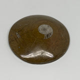 98.4g, 2.8"x2.8"x0.6", Goniatite (Button) Ammonite Polished Fossils, B30064