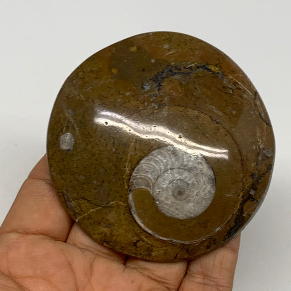 92.8g, 2.9"x2.8"x0.5", Goniatite (Button) Ammonite Polished Fossils, B30066
