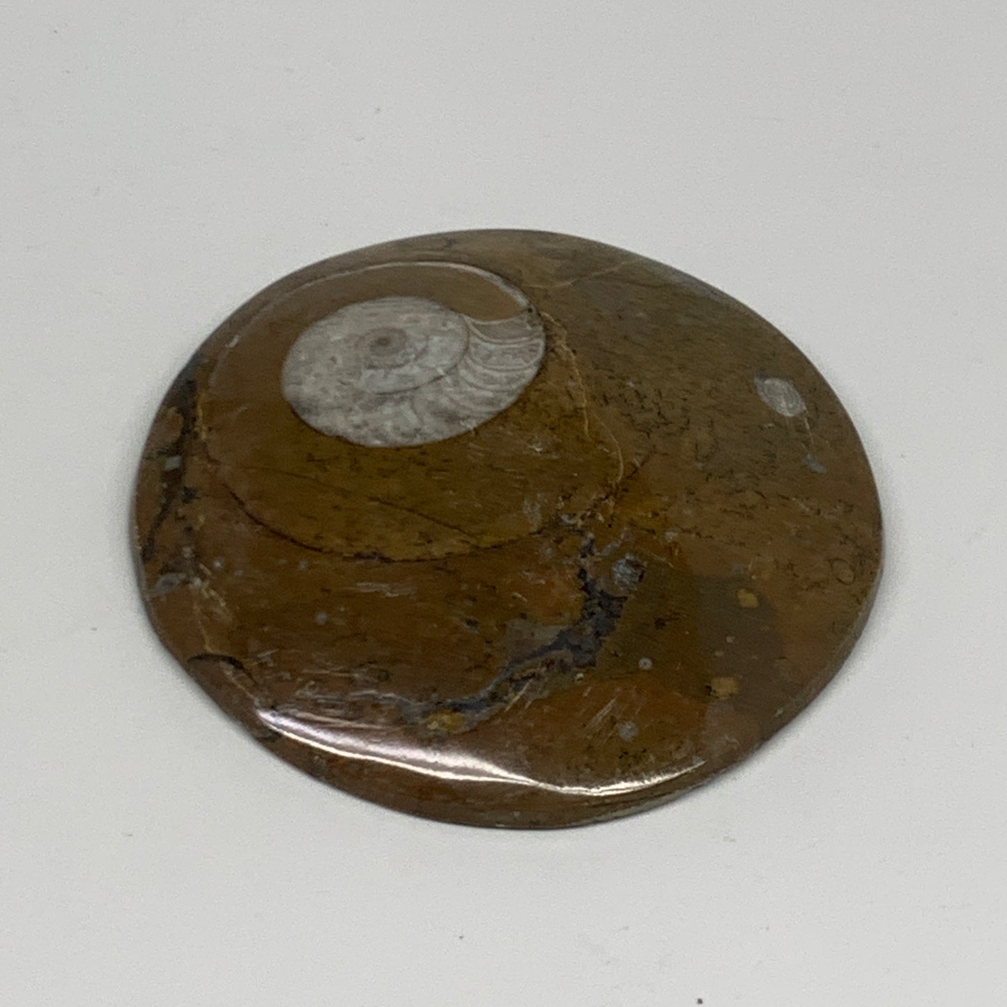 92.8g, 2.9"x2.8"x0.5", Goniatite (Button) Ammonite Polished Fossils, B30066