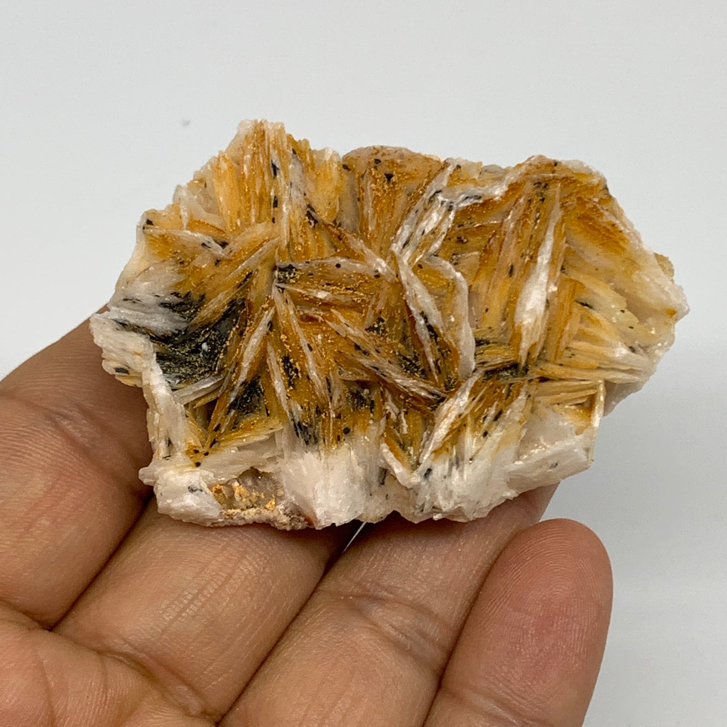 93g, 2.3"x1.7x0.9", Natural Golden Barite Mineral Specimen @Morocco, B33572