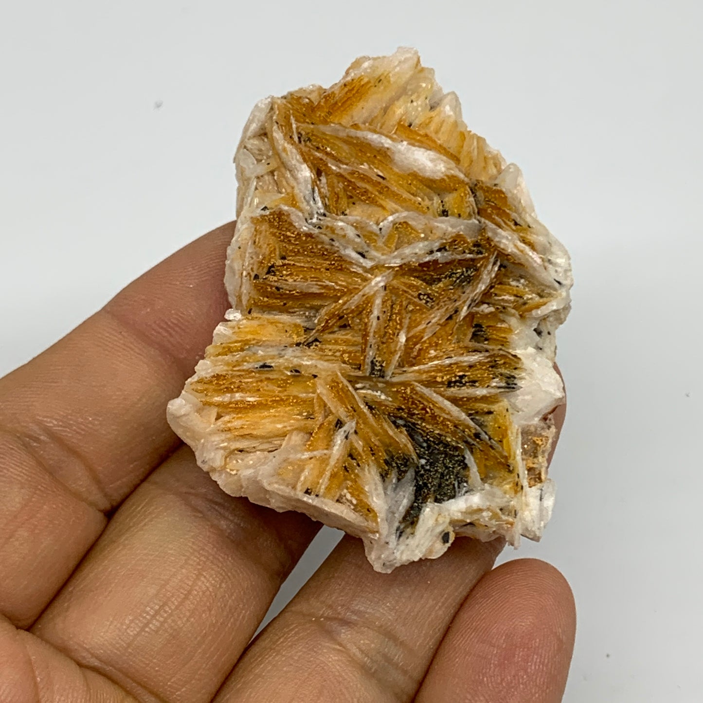 93g, 2.3"x1.7x0.9", Natural Golden Barite Mineral Specimen @Morocco, B33572