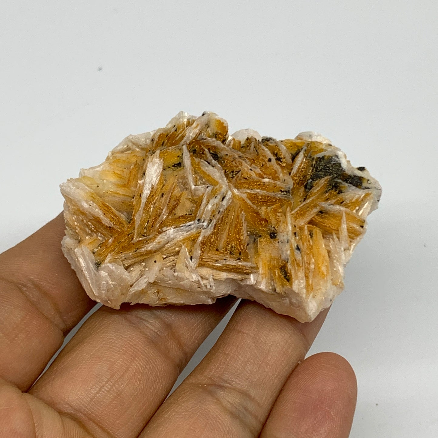 93g, 2.3"x1.7x0.9", Natural Golden Barite Mineral Specimen @Morocco, B33572