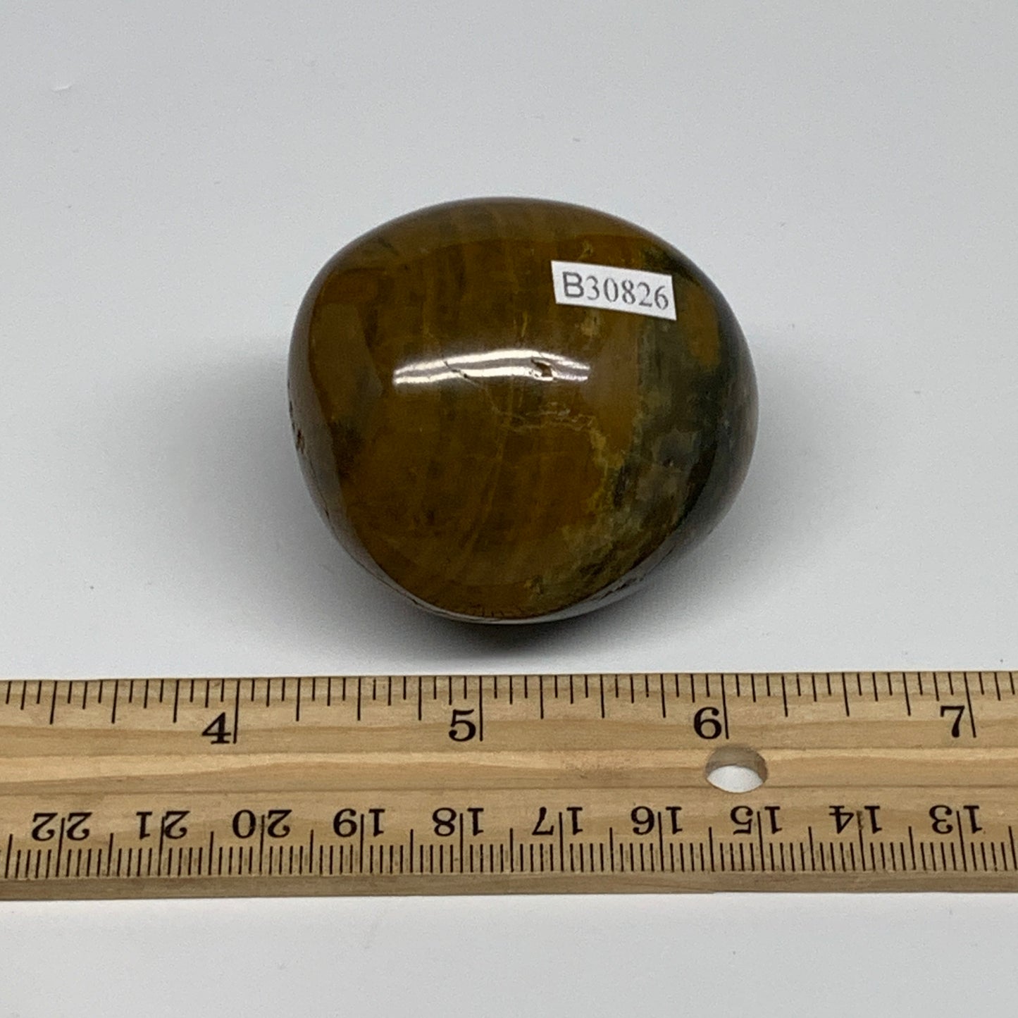 125.1g, 2"x1.7"x1.5" Natural Ocean Jasper Palm-Stone Orbicular Jasper, B30826