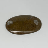 92.5g, 3.5"x2.4"x0.5", Goniatite (Button) Ammonite Polished Fossils, B30072
