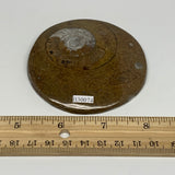 105.6g, 3.1"x3.1"x0.5", Goniatite (Button) Ammonite Polished Fossils, B30074