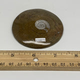81.9g, 2.7"x2.7"x0.6", Goniatite (Button) Ammonite Polished Fossils, B30075