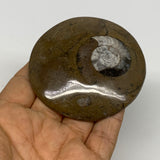 83.6g, 2.8"x2.8"x0.5", Goniatite (Button) Ammonite Polished Fossils, B30077