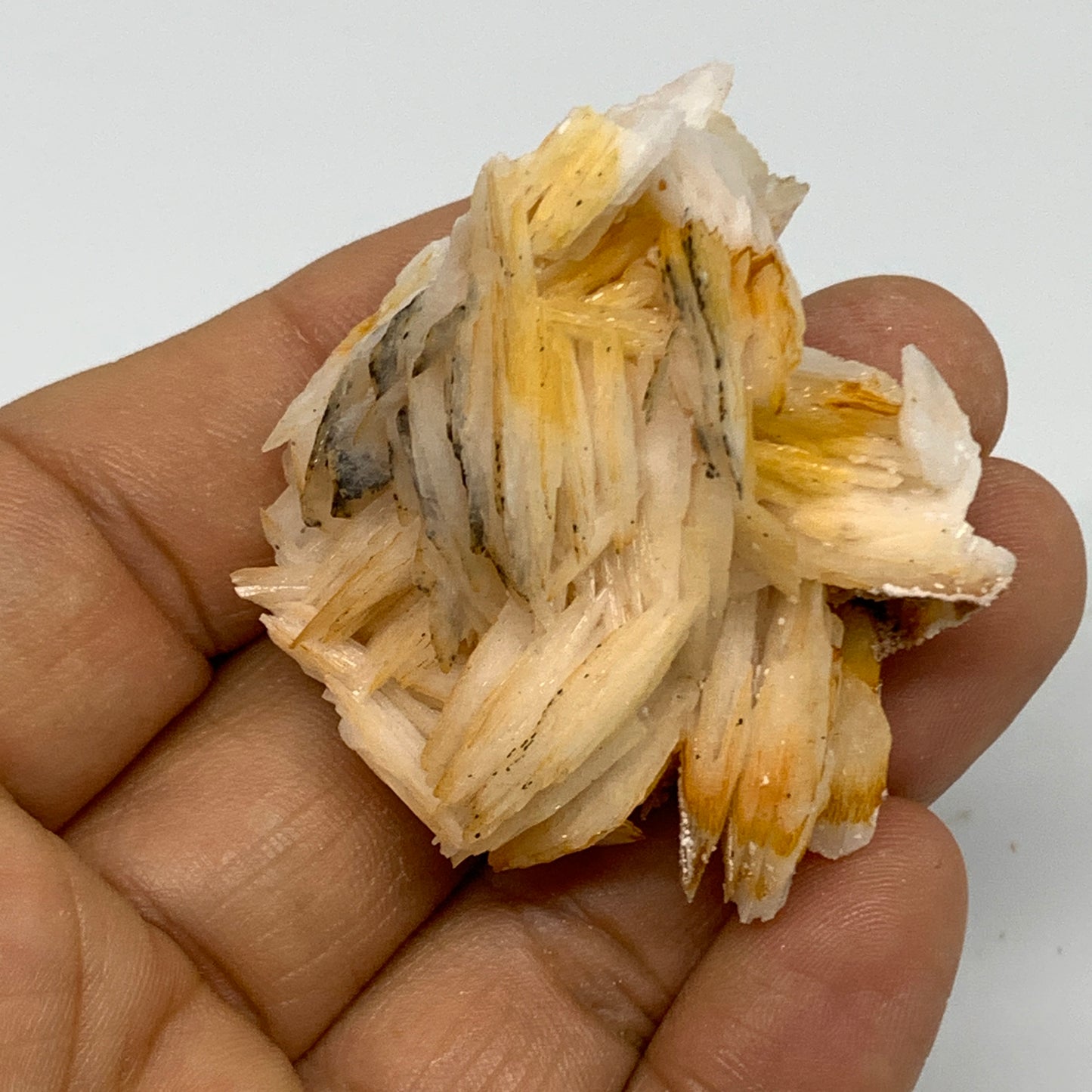 47.6g, 1.9"x1.6"x0.7", Natural Golden Barite Mineral Specimen @Morocco, B33584