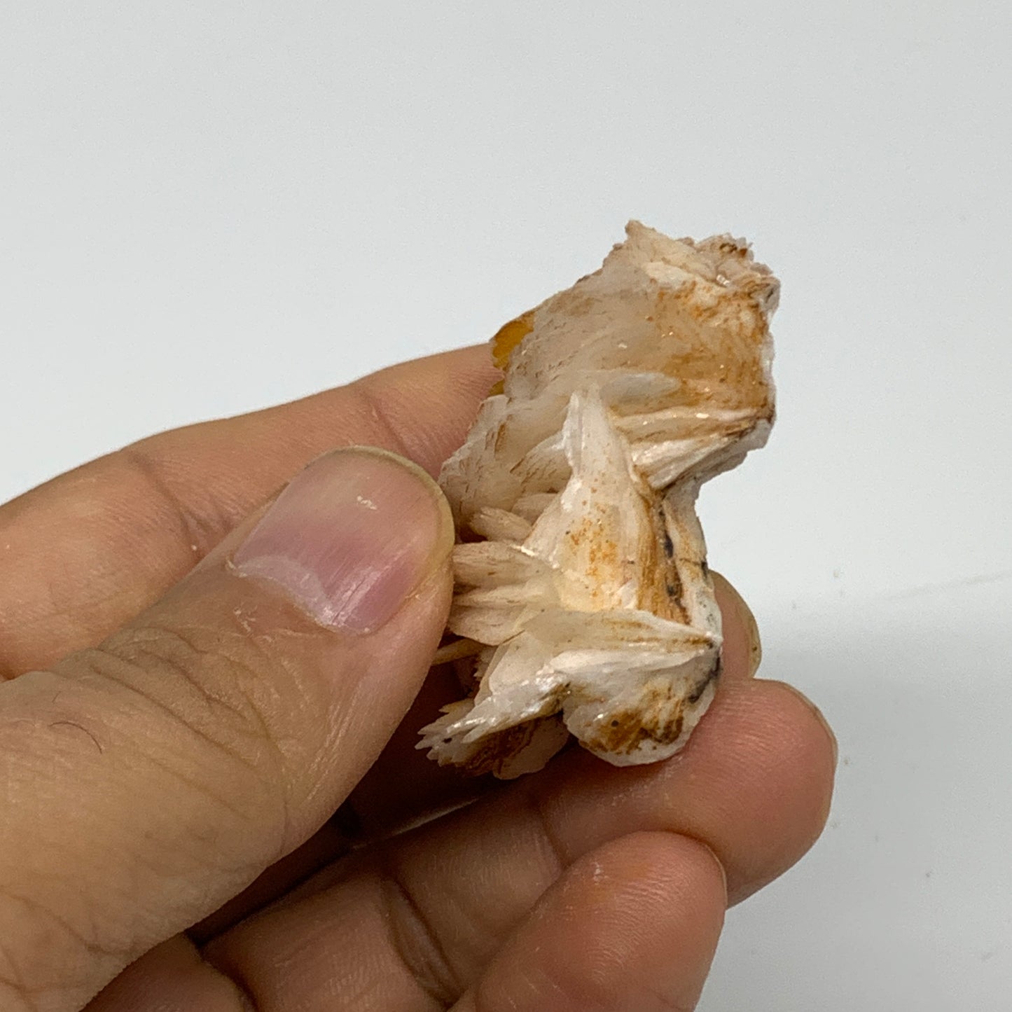 45.4g, 1.7"x1.5"x0.8", Natural Golden Barite Mineral Specimen @Morocco, B33585