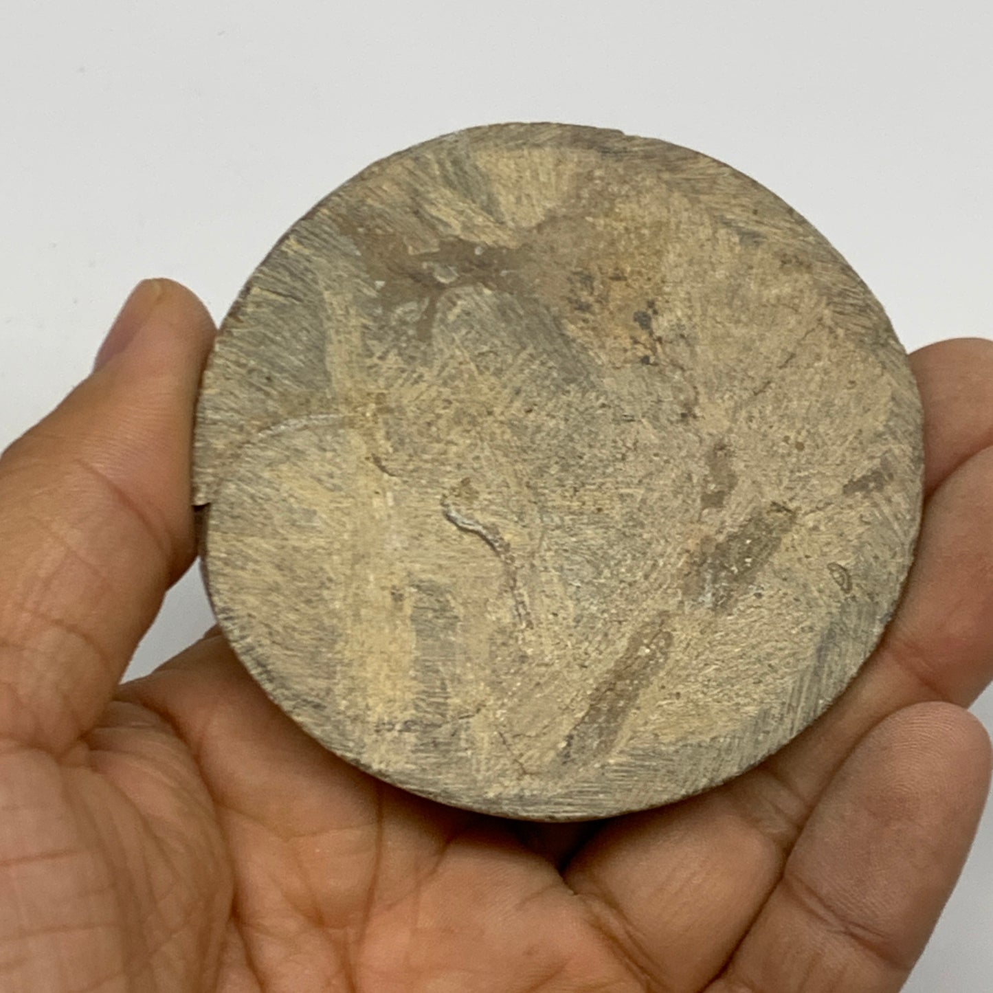 57.4g, 2.7"x2.6"x0.3", Goniatite (Button) Ammonite Polished Fossils, B30083