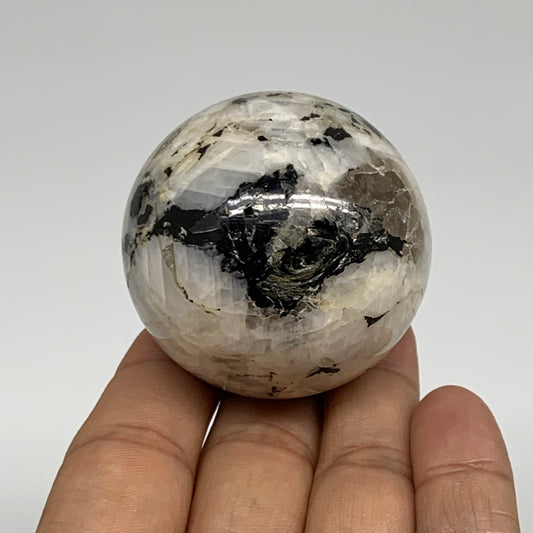 146.2g, 1.9"(47mm), Natural Rainbow Moonstone Sphere Ball Gemstone, B35025
