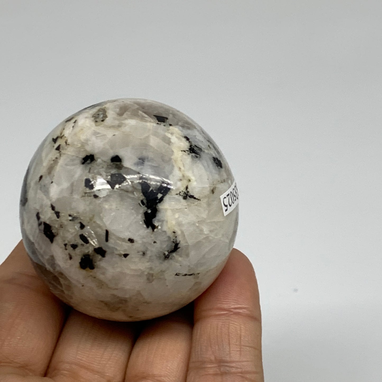 146.2g, 1.9"(47mm), Natural Rainbow Moonstone Sphere Ball Gemstone, B35025