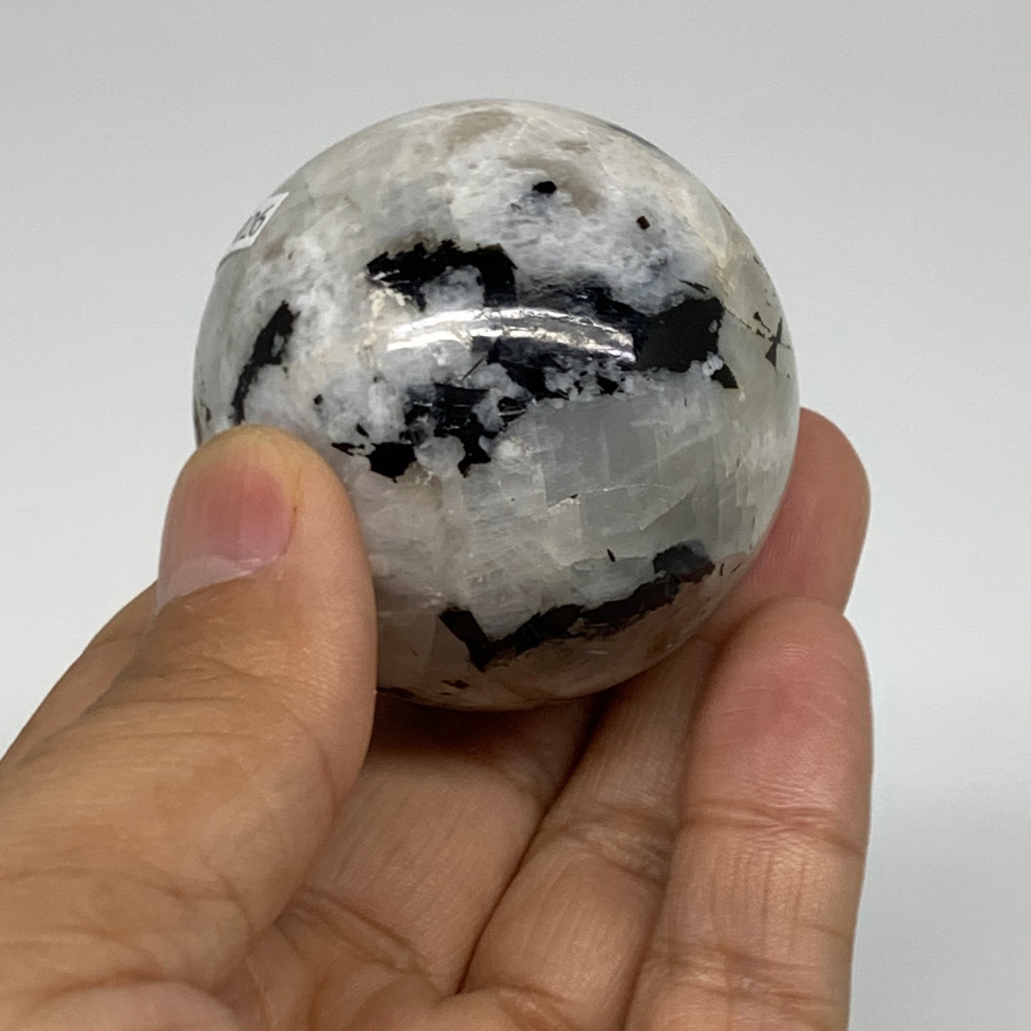 151g, 1.9"(48mm), Natural Rainbow Moonstone Sphere Ball Gemstone, B35026