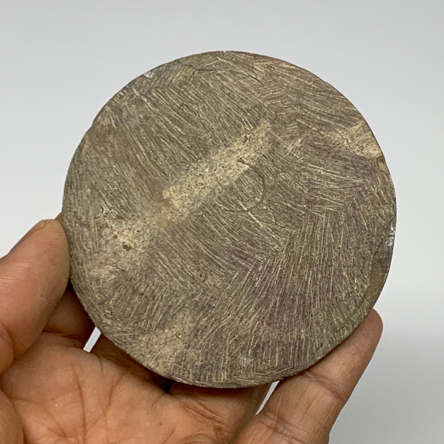 102.2g, 2.9"x2.9"x0.6", Goniatite (Button) Ammonite Polished Fossils, B30089