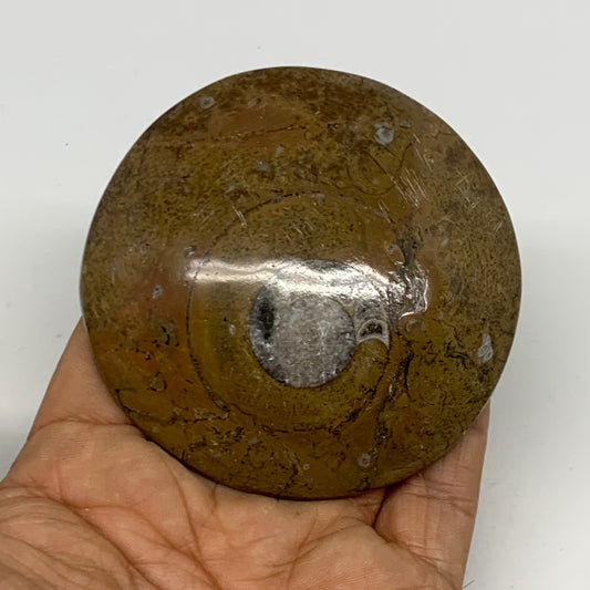 110.8g, 2.9"x2.9"x0.6", Goniatite (Button) Ammonite Polished Fossils, B30092