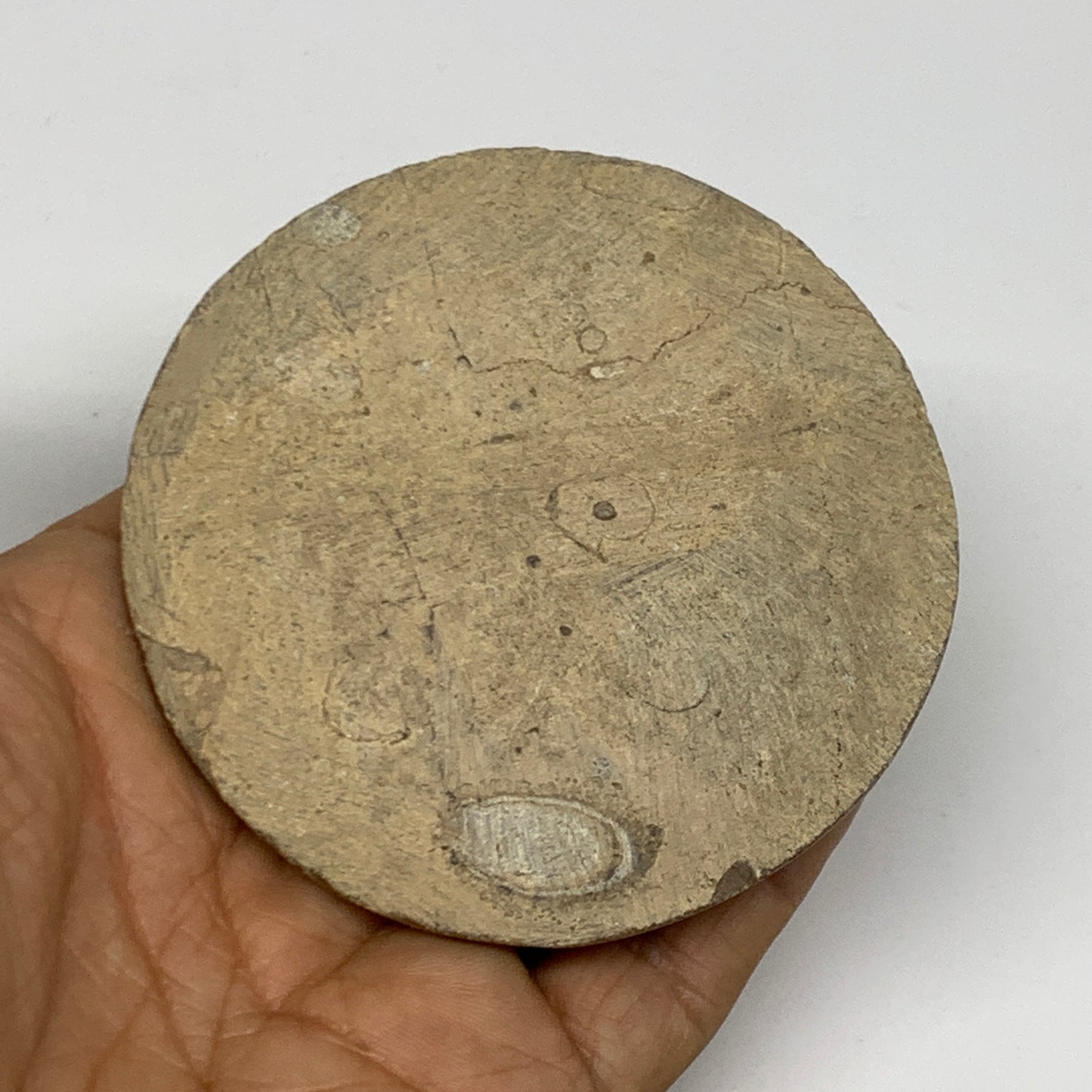 110.8g, 2.9"x2.9"x0.6", Goniatite (Button) Ammonite Polished Fossils, B30092