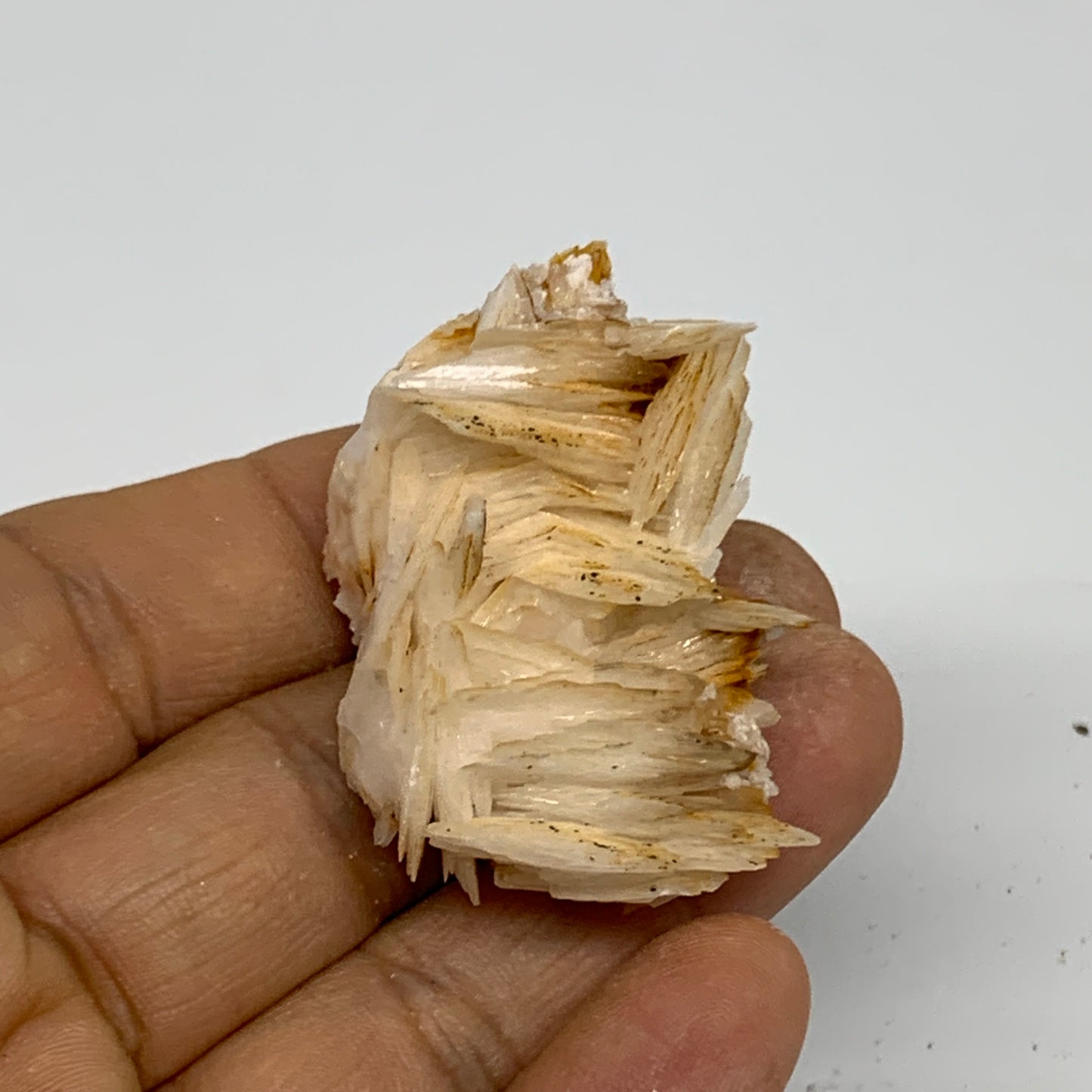 33.7g, 1.7"x1.2"x0.7", Natural Golden Barite Mineral Specimen @Morocco, B33593