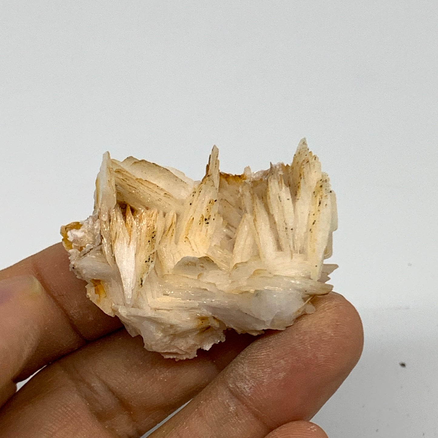 33.7g, 1.7"x1.2"x0.7", Natural Golden Barite Mineral Specimen @Morocco, B33593