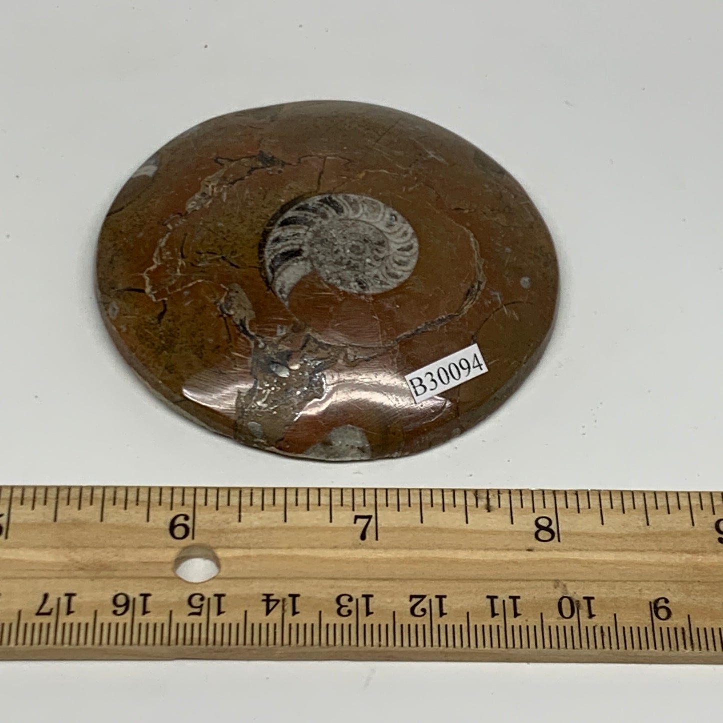 95.2g, 2.8"x2.8"x0.6", Goniatite (Button) Ammonite Polished Fossils, B30094