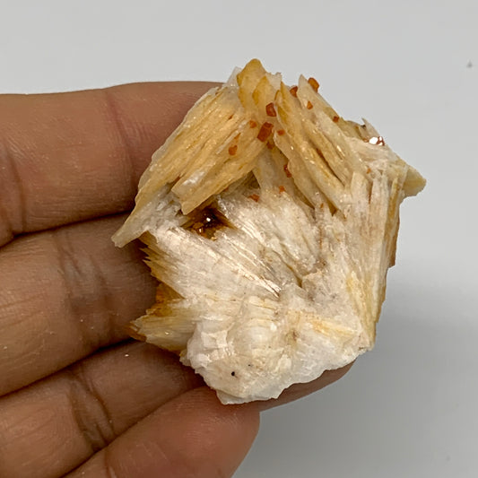 47.3g, 1.6"x1.4"x0.7", Natural Golden Barite Mineral Specimen @Morocco, B33595