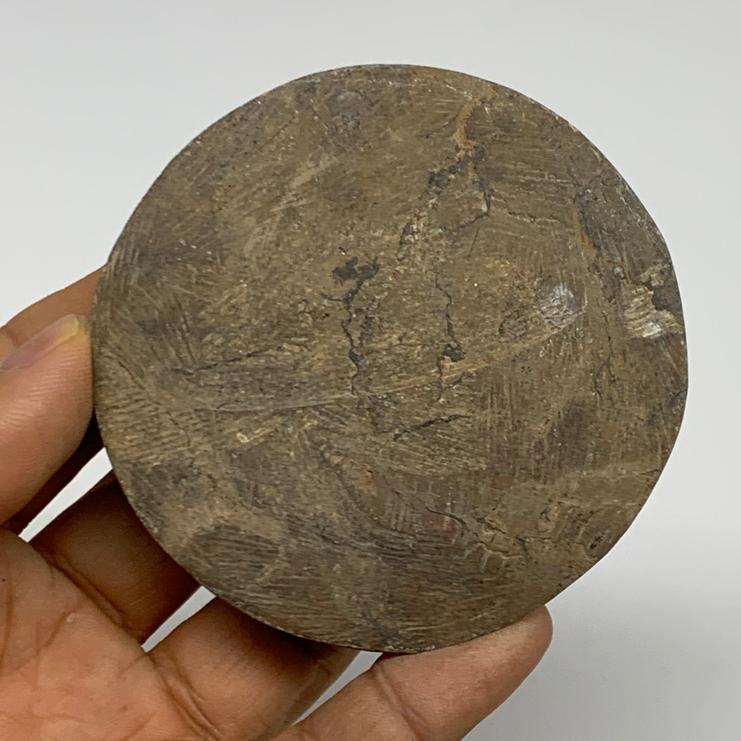 95.5g, 2.8"x2.8"x0.6", Goniatite (Button) Ammonite Polished Fossils, B30095