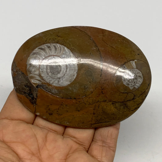 106.1g, 3.4"x2.4"x0.6", Goniatite (Button) Ammonite Polished Fossils, B30097