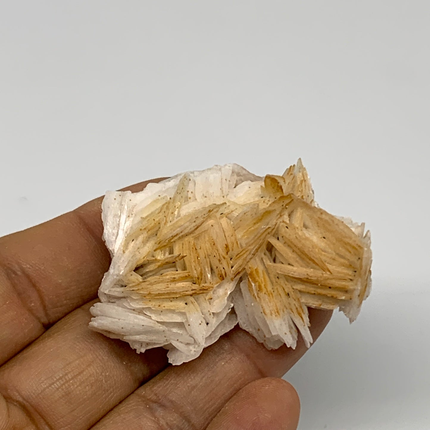 50.5g, 1.9"x1.5x0.6", Natural Golden Barite Mineral Specimen @Morocco, B33600