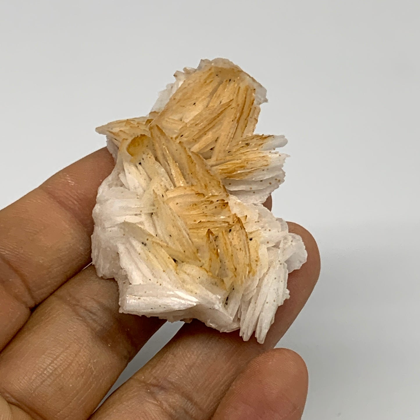 50.5g, 1.9"x1.5x0.6", Natural Golden Barite Mineral Specimen @Morocco, B33600