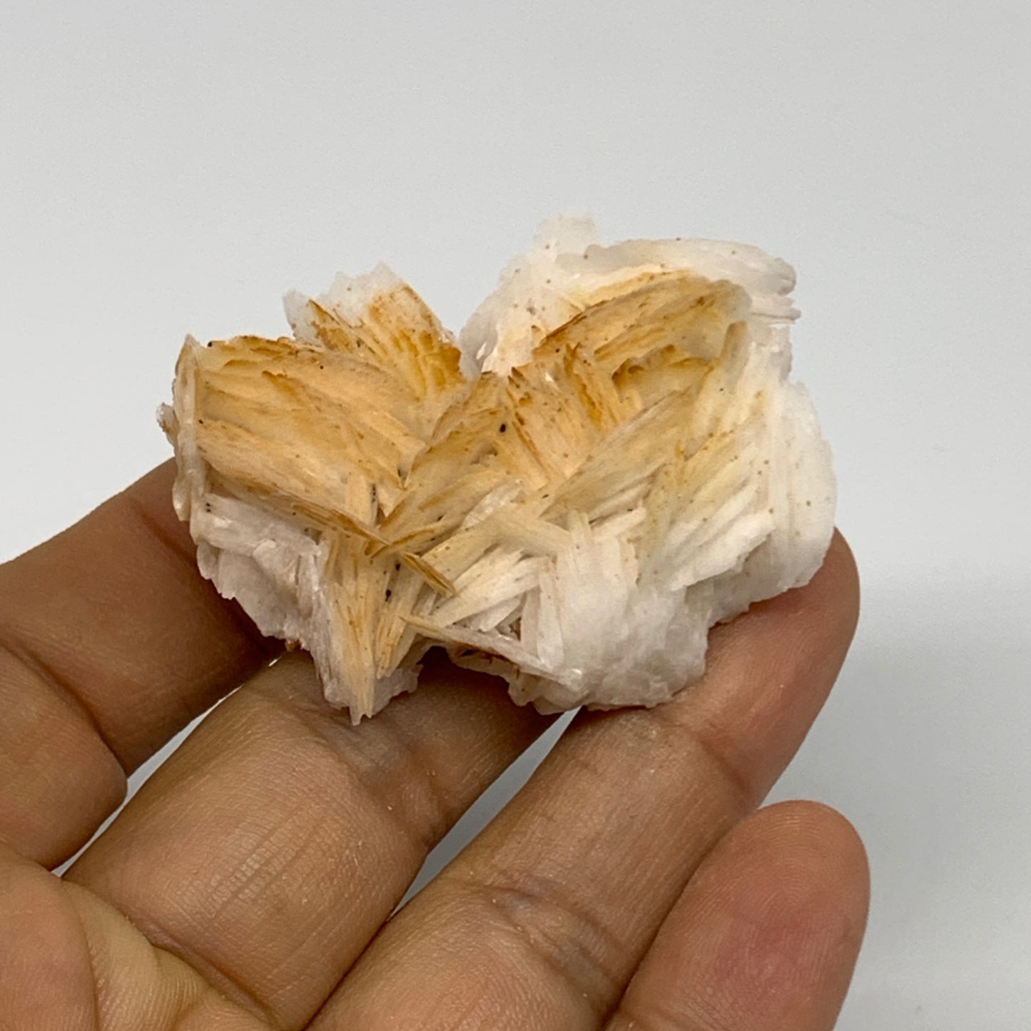 50.5g, 1.9"x1.5x0.6", Natural Golden Barite Mineral Specimen @Morocco, B33600