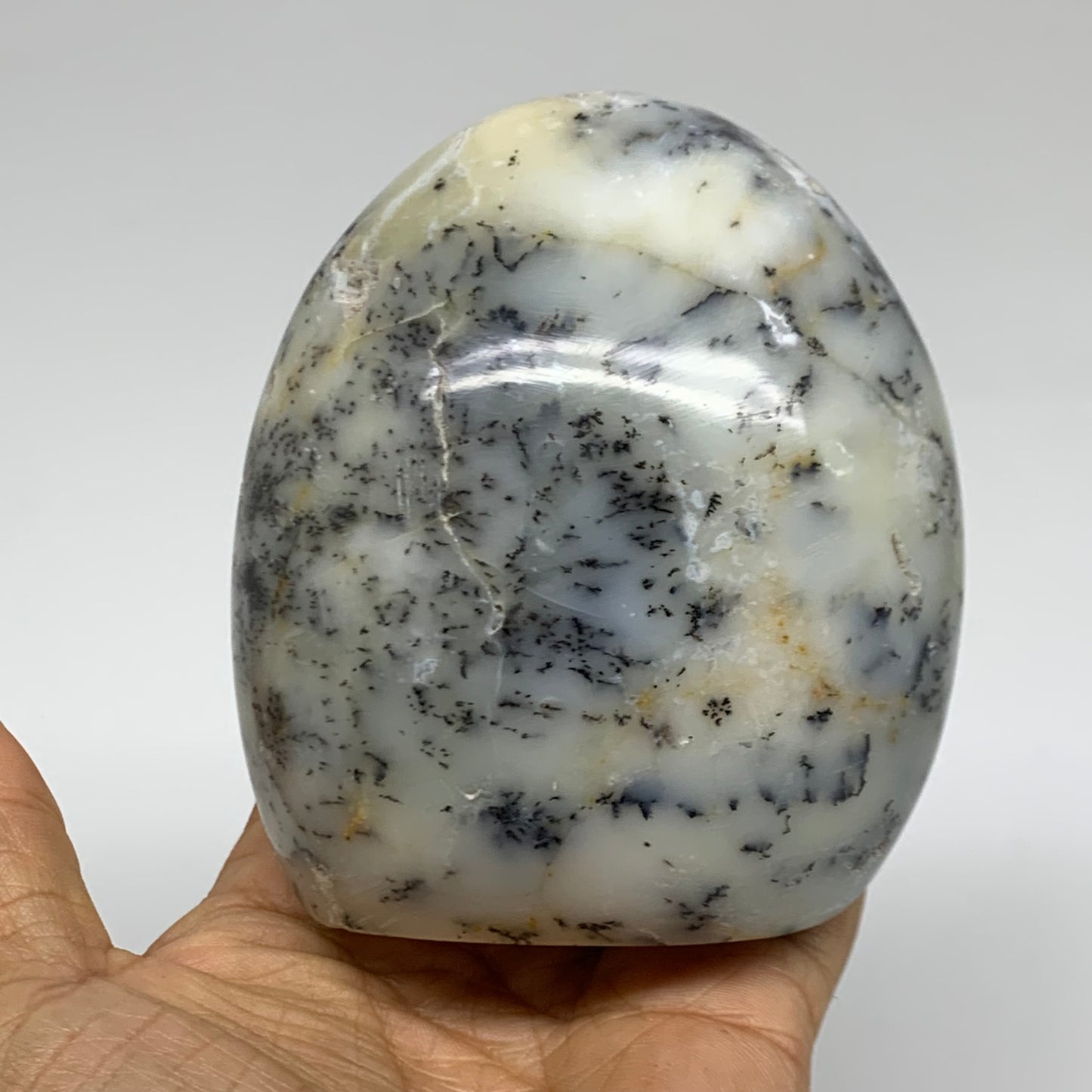 1.16 lbs, 3.8"x3.4"x2.2", Dendrite Opal Freeform Reiki Energy Crystal, B38093