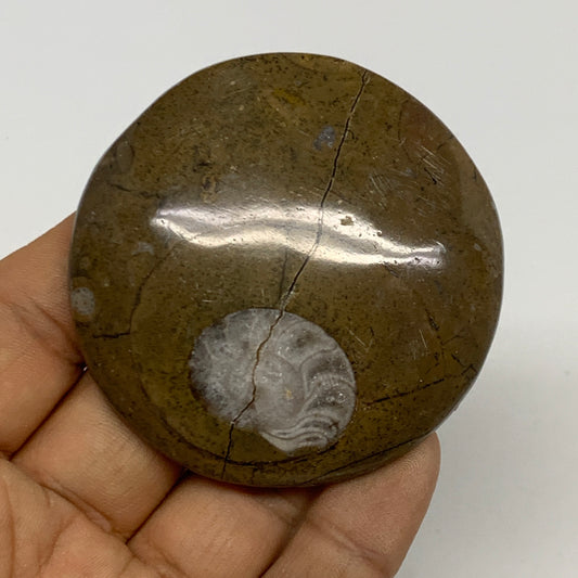 60.6g, 2.4"x2.4"x0.5", Goniatite (Button) Ammonite Polished Fossils, B30103