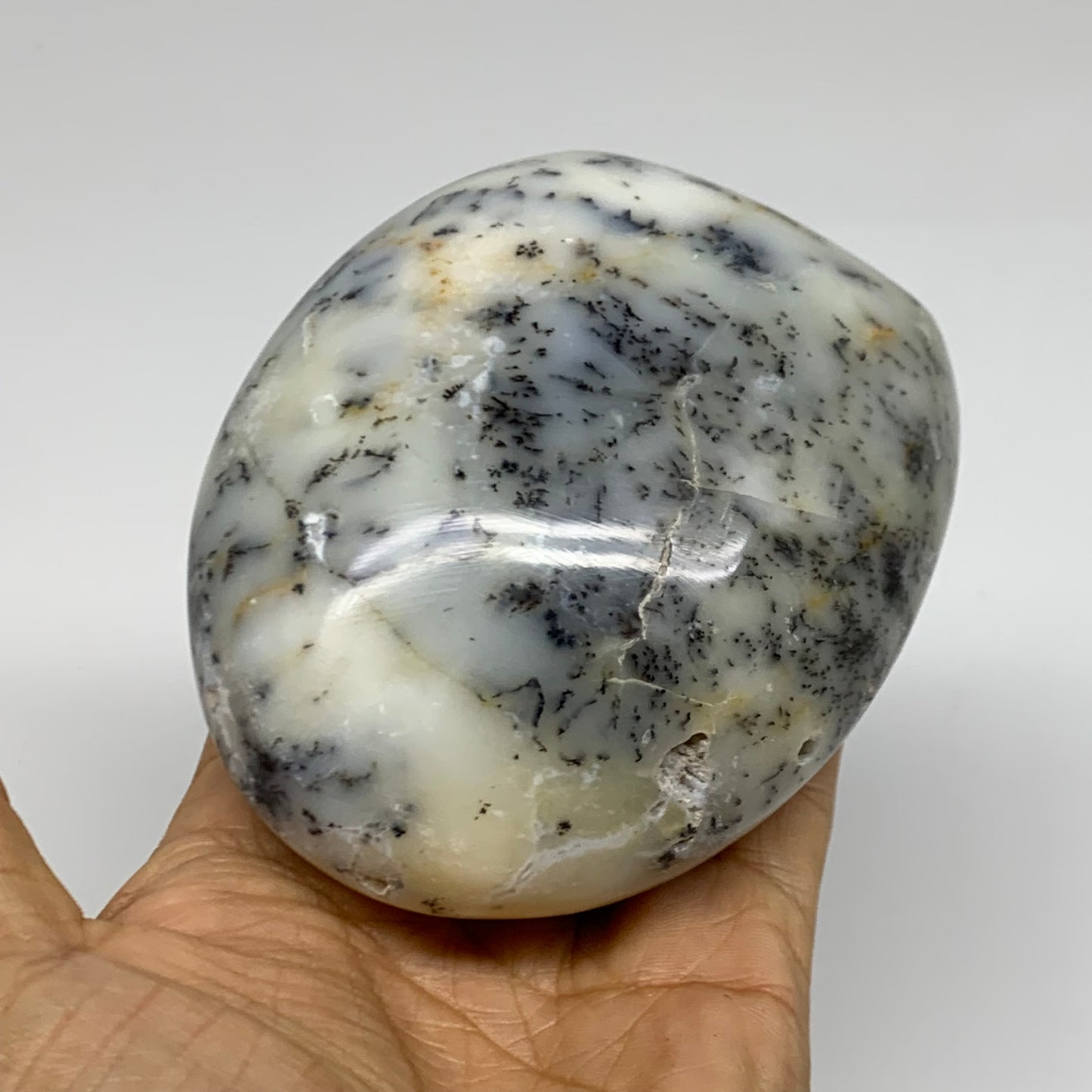 1.16 lbs, 3.8"x3.4"x2.2", Dendrite Opal Freeform Reiki Energy Crystal, B38093
