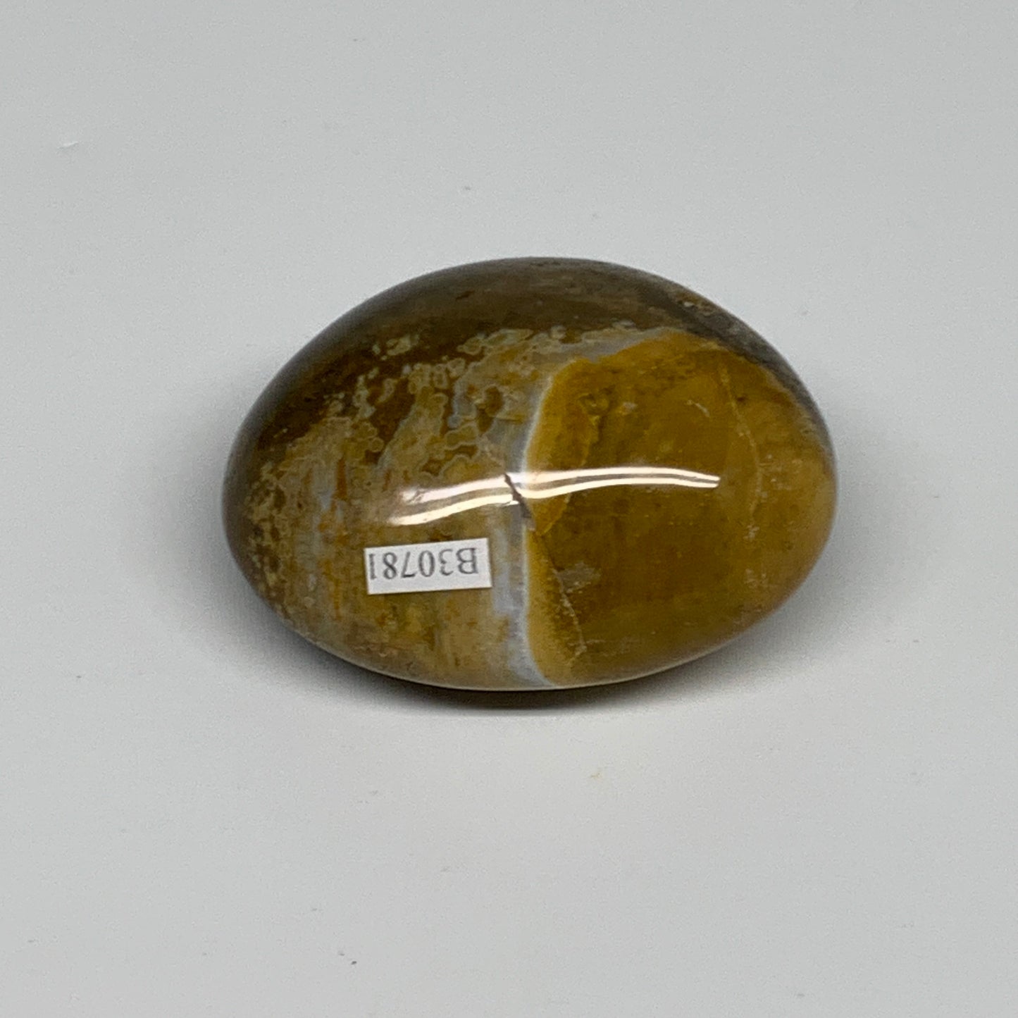 144g, 2.6"x2"x1.3" Natural Ocean Jasper Palm-Stone Orbicular Jasper, B30781