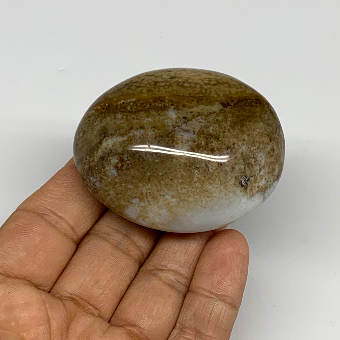 109.8g, 2.3"x1.9"x1.2" Natural Ocean Jasper Palm-Stone Orbicular Jasper, B30778