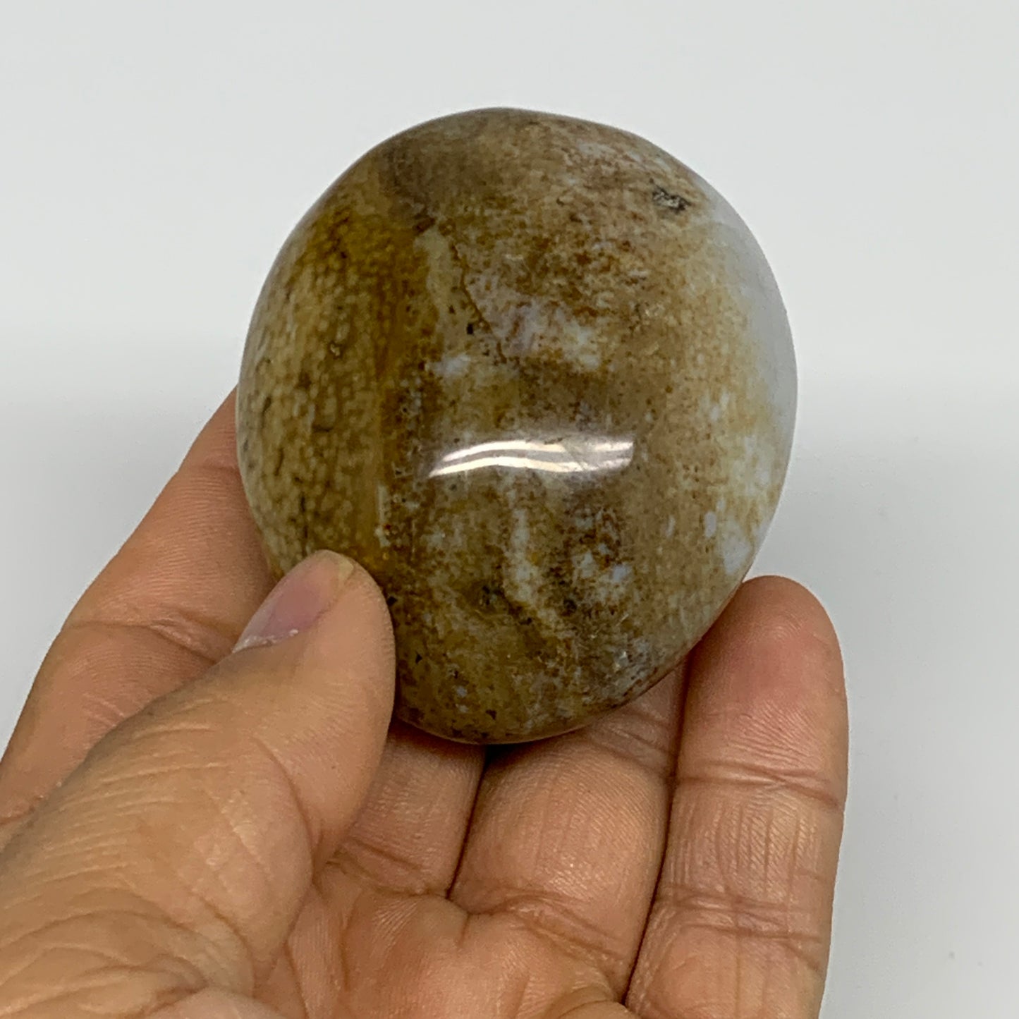 109.8g, 2.3"x1.9"x1.2" Natural Ocean Jasper Palm-Stone Orbicular Jasper, B30778
