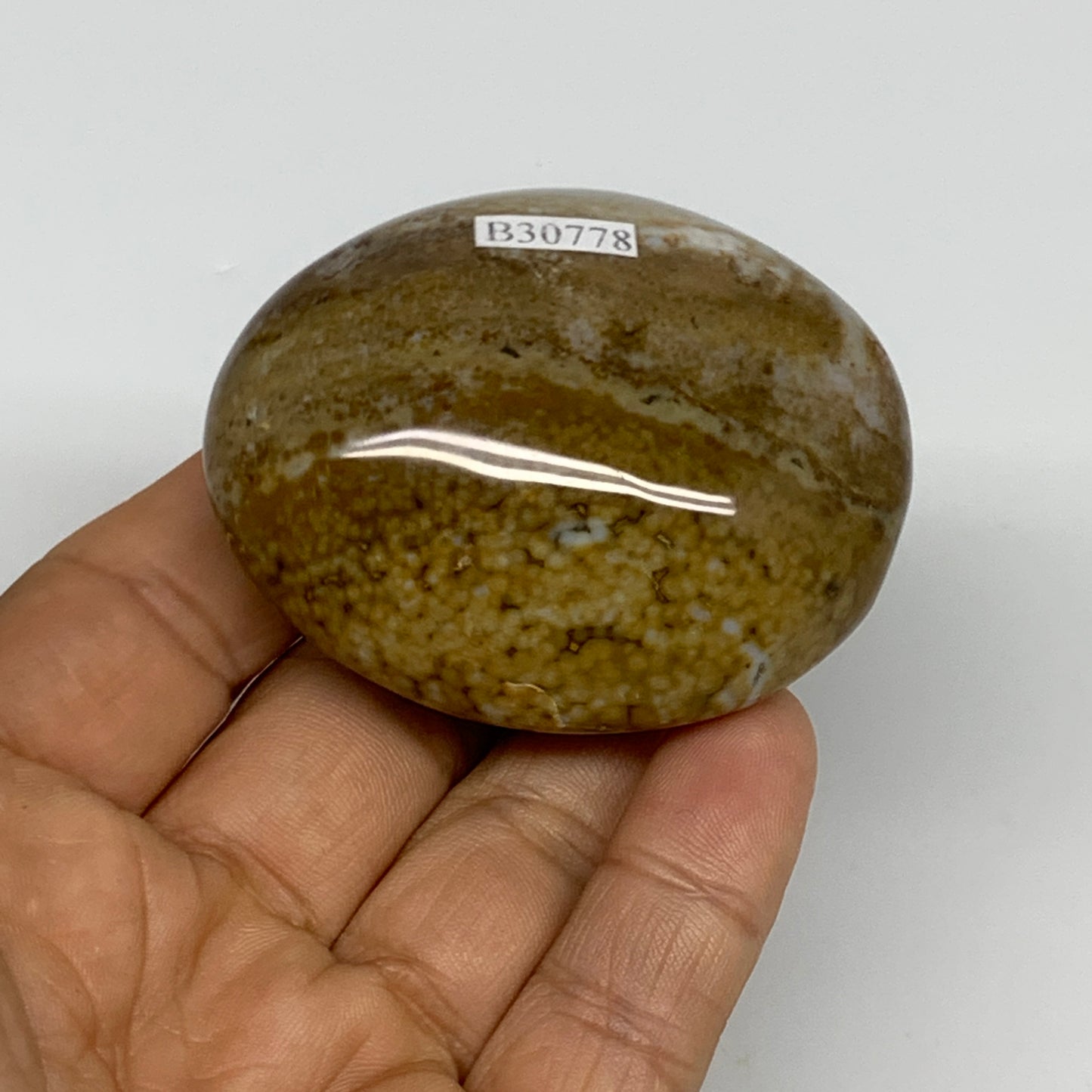 109.8g, 2.3"x1.9"x1.2" Natural Ocean Jasper Palm-Stone Orbicular Jasper, B30778