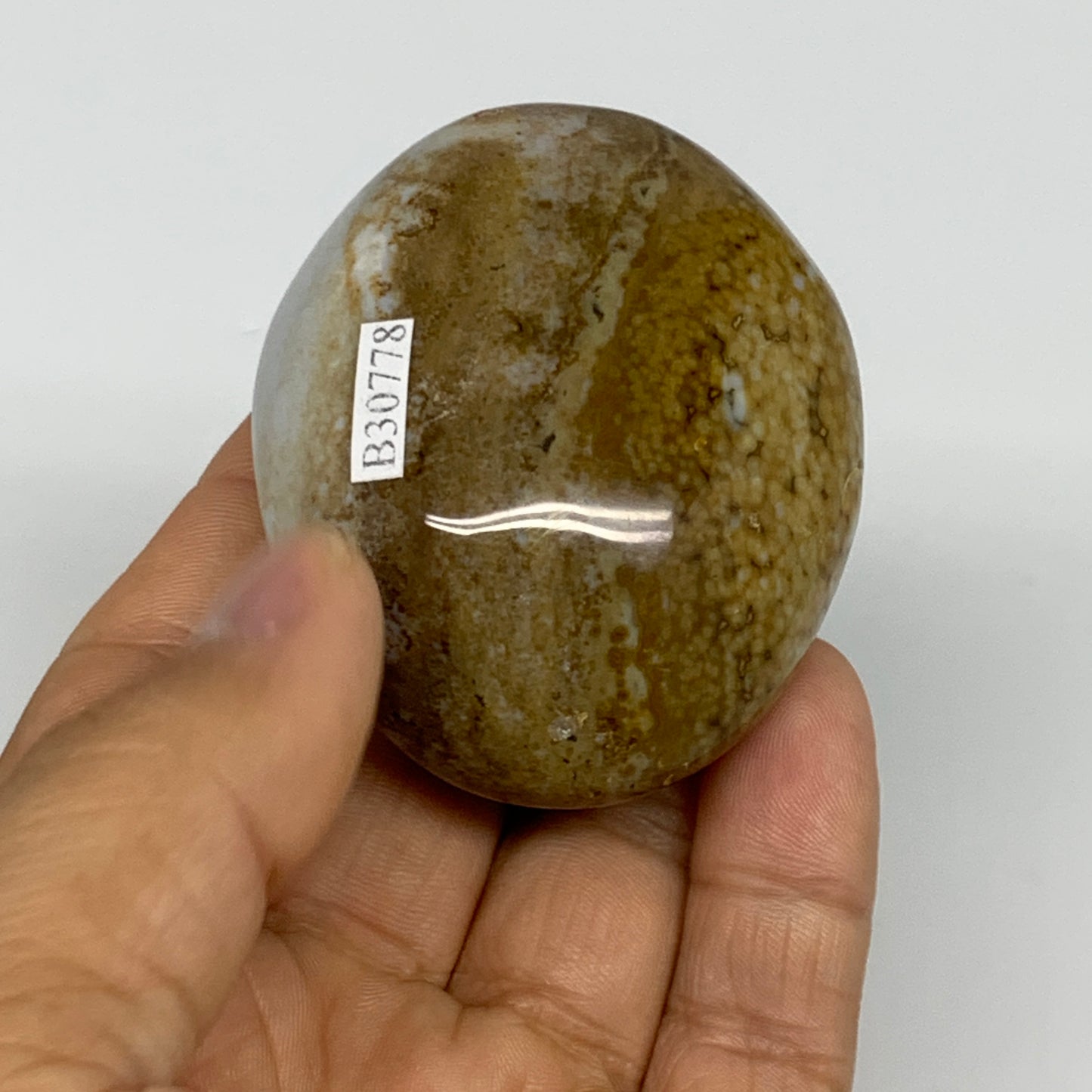 109.8g, 2.3"x1.9"x1.2" Natural Ocean Jasper Palm-Stone Orbicular Jasper, B30778